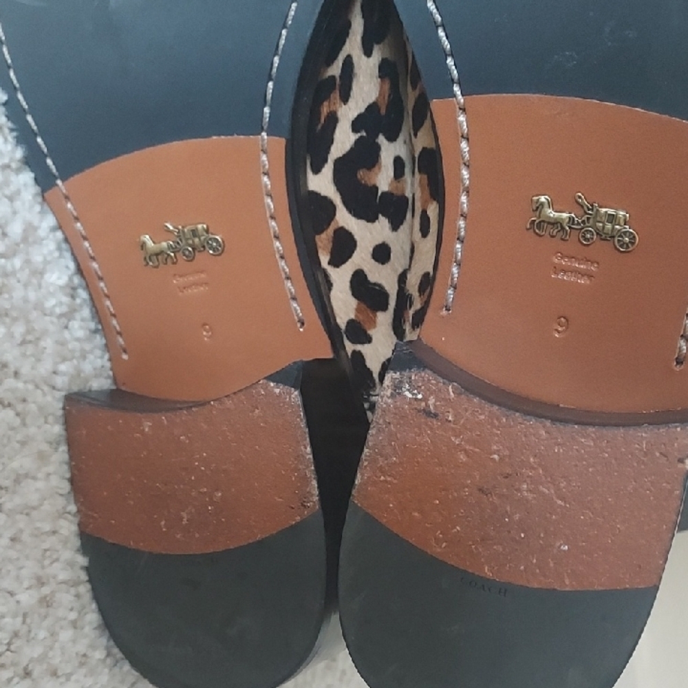 Coach Leopard Print Ankle Boots - Picture 5 of 12